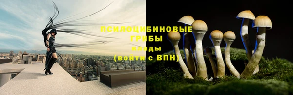 наркотики Абинск