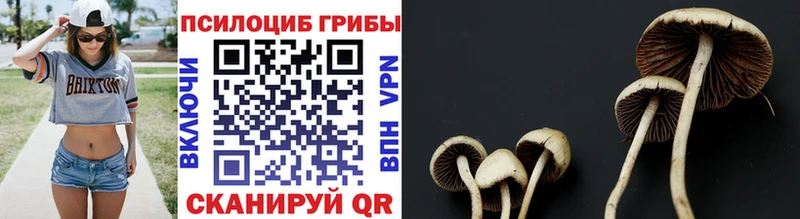 KRAKEN ONION  сколько стоит  Костерёво  Псилоцибиновые грибы MAGIC MUSHROOMS 
